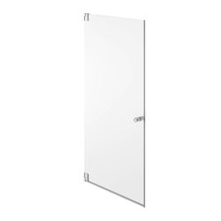 SSI Glass Design Pivot Door Type1