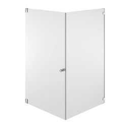 SSI Glass Design Pivot Door Type5