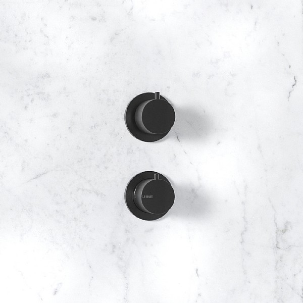 Thermostatic Shower Valves Shower Fittings & Controls C.P. Hart